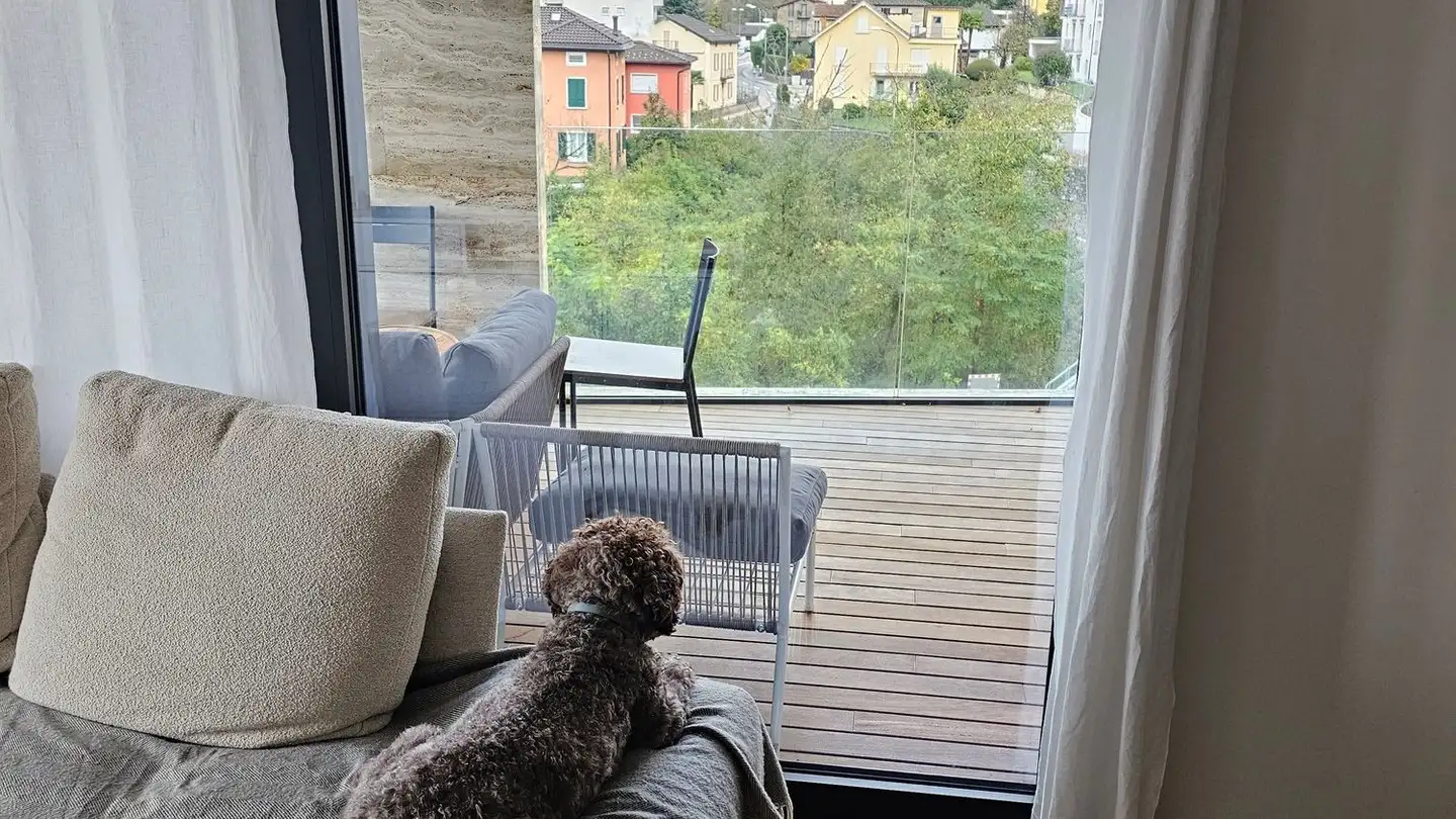 Attico in affitto - Via Della Zòca 2, 6964 Davesco-Soragno - Foto 2