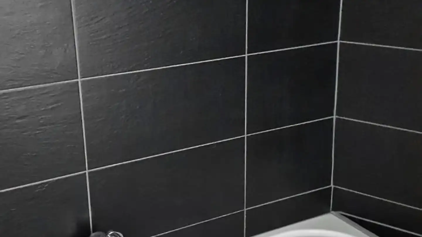 Appartement à louer - Route Du Château 20, 2520 La Neuveville - Photo 4