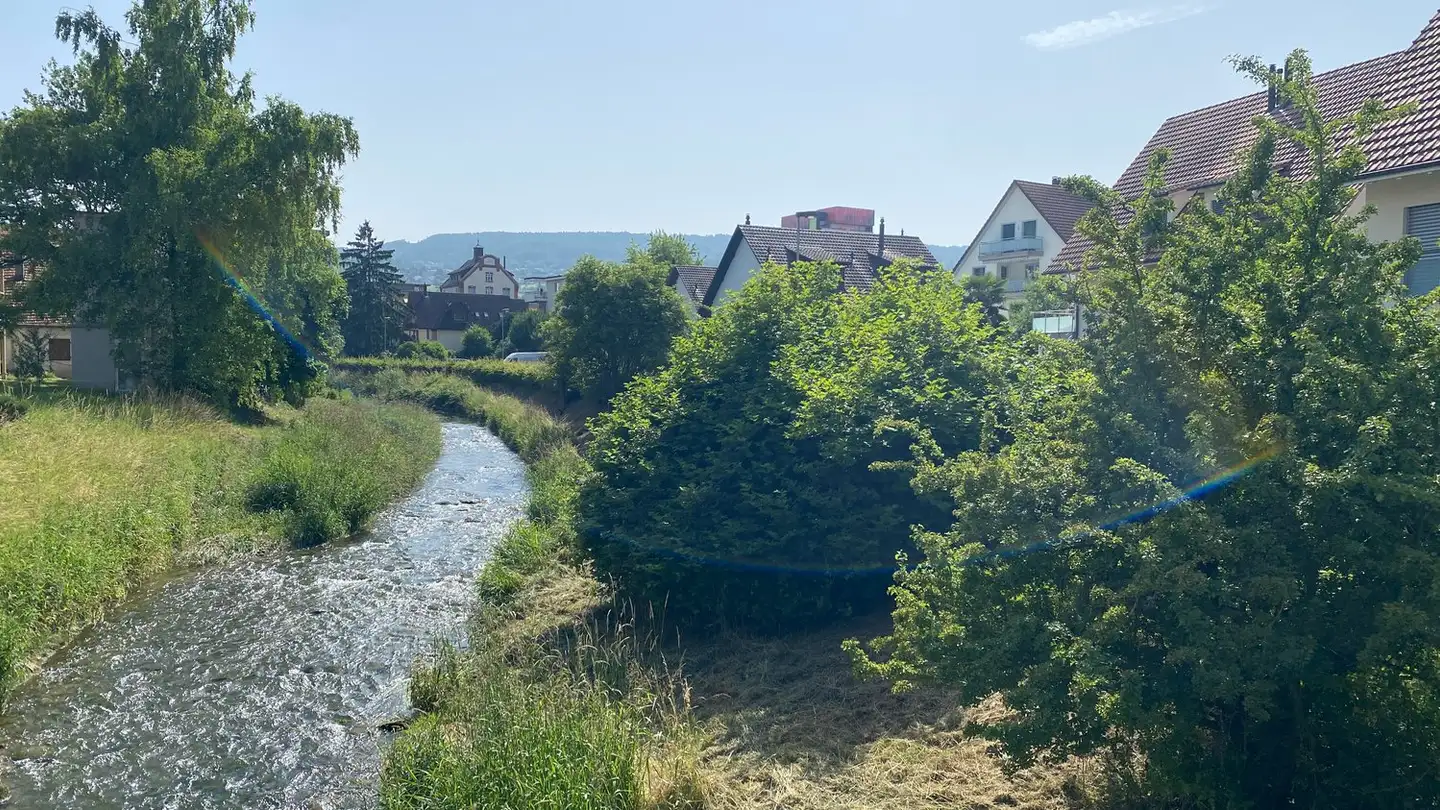 Dachgeschosswohnung kaufen - 8953 Dietikon - Foto 4