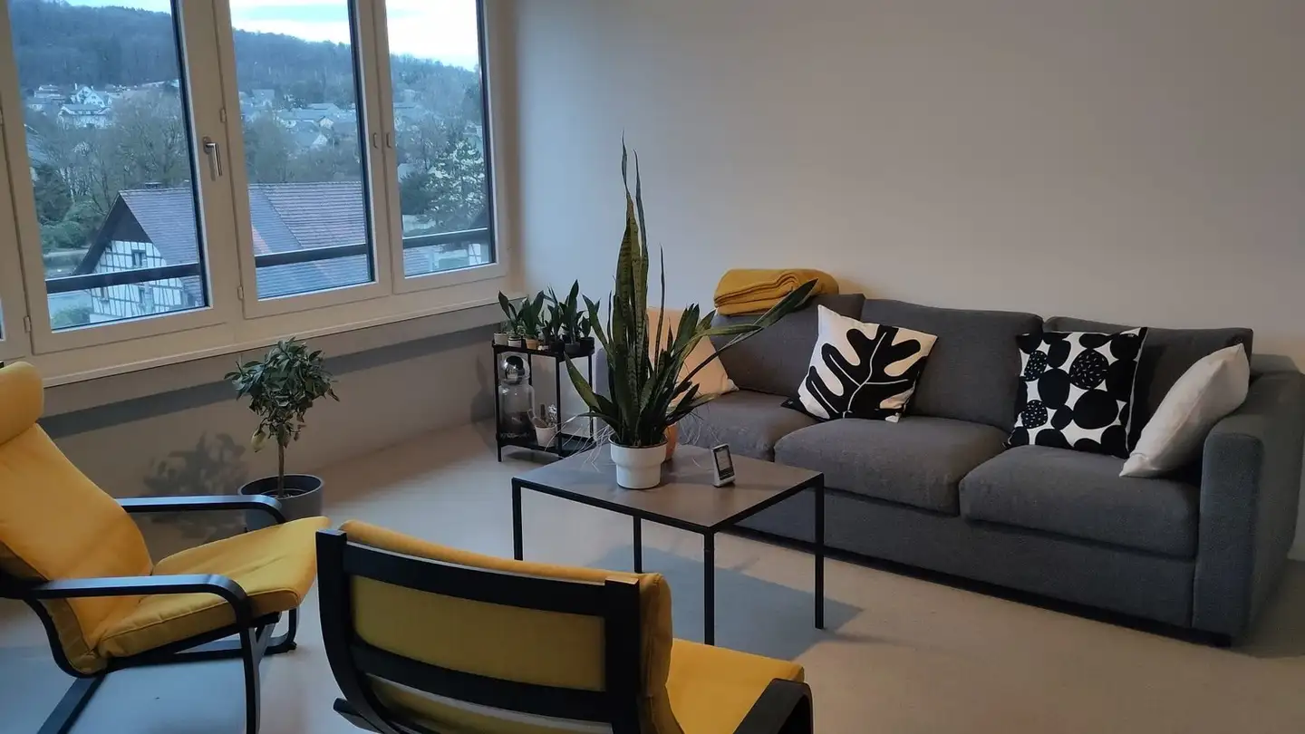 Chambre à louer - 8952 Schlieren