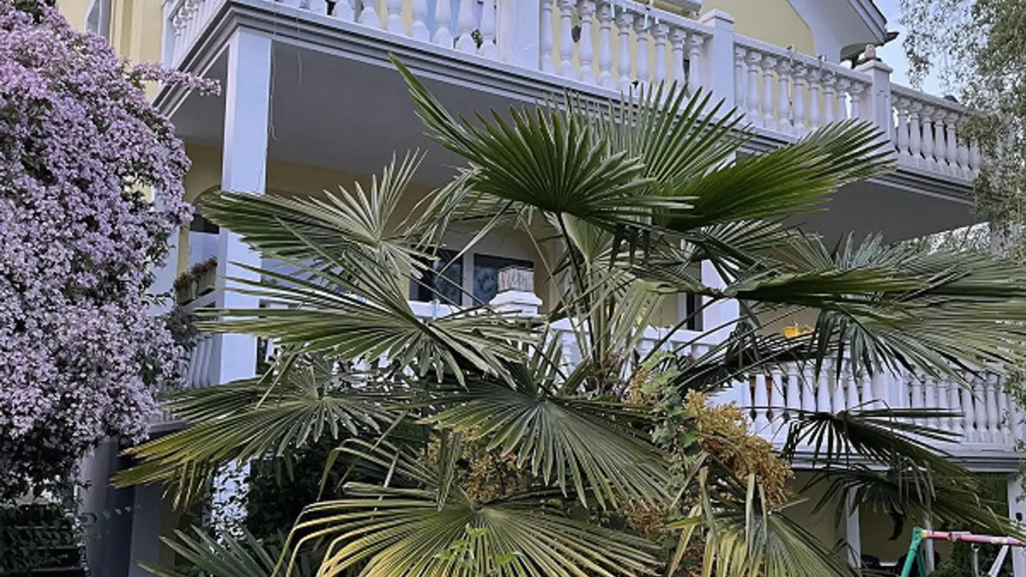 Einfamilienhaus kaufen - Reichenauerstrasse 18, 7015 Tamins - Foto 4