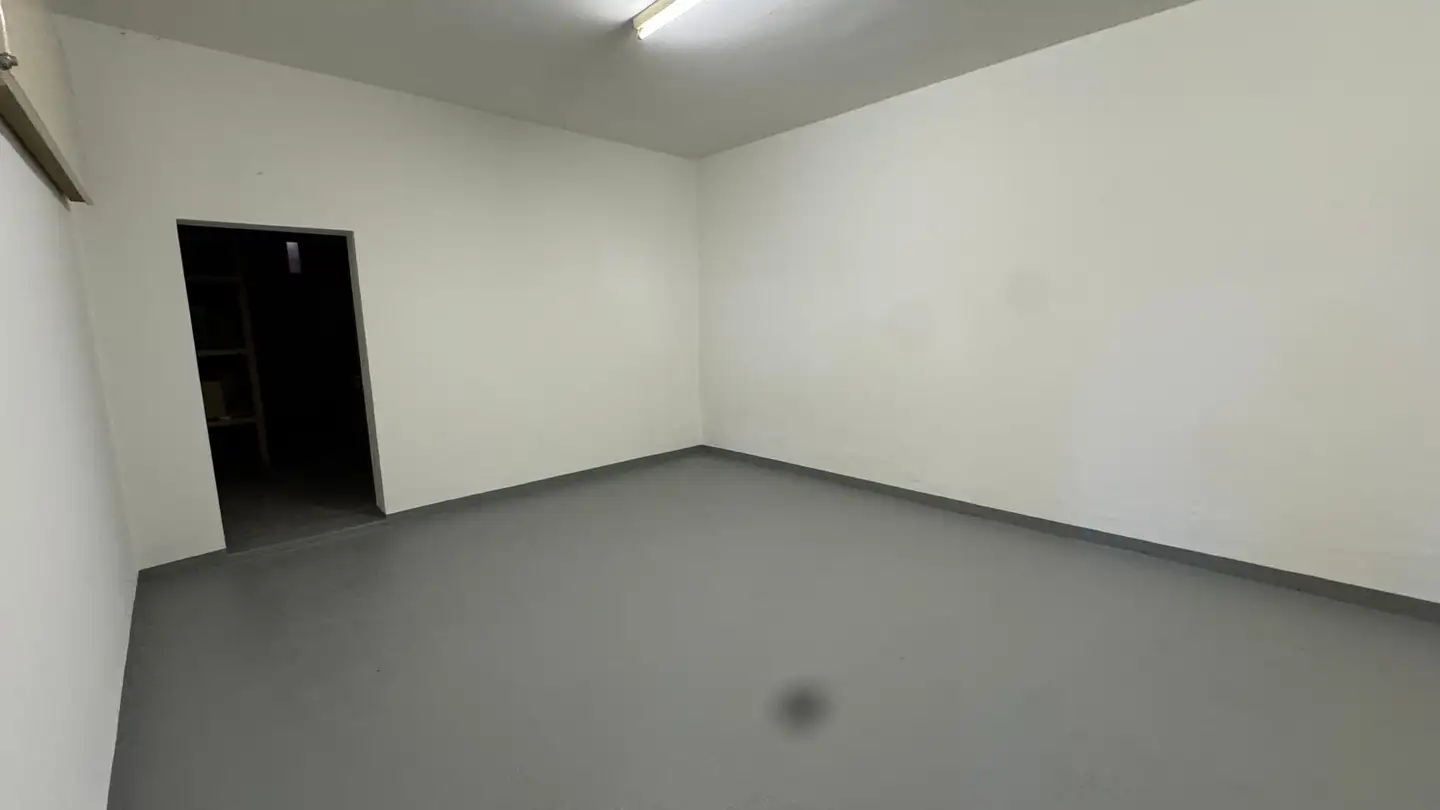 Industrial property for rent - 6828 Balerna - Photo 3