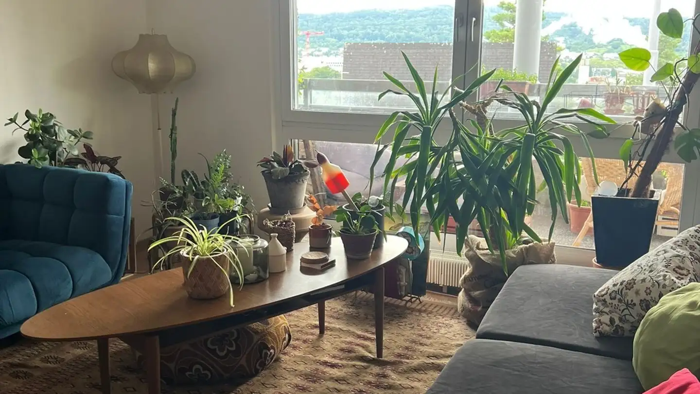 Zimmer mieten - 8049 Zürich - Foto 4