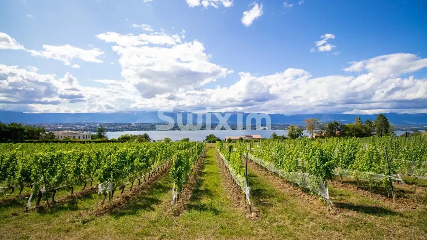 Villa à vendre - 1223 Cologny