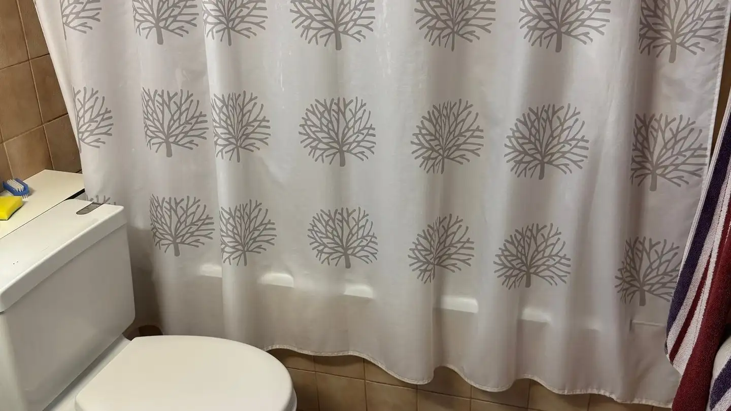 Appartamento ammobiliato in affitto - Lenggiserstrasse, 8645 Jona - Photo 3