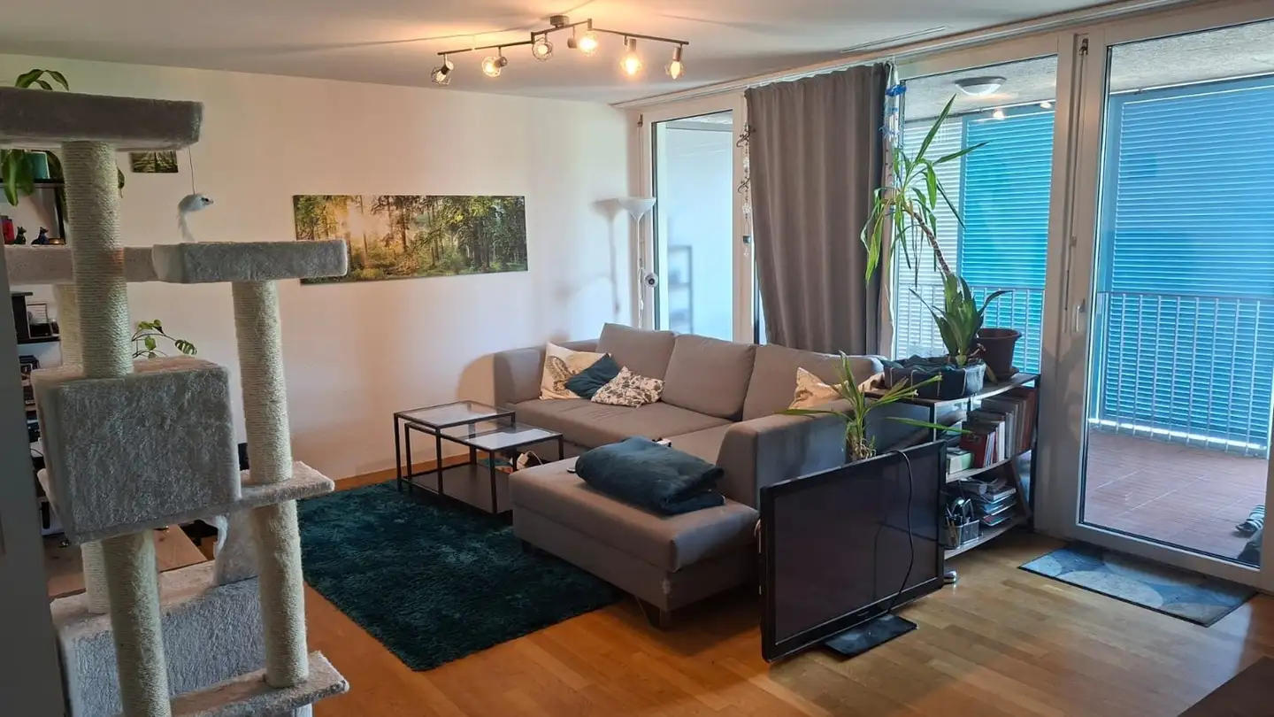 Wohnung mieten - 8620 Wetzikon ZH