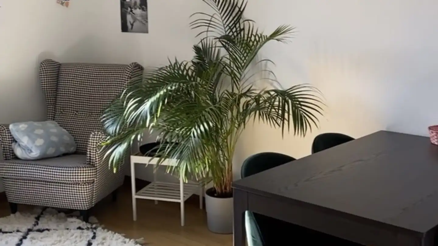 Apartment for rent - 3007 Bern - Photo 3