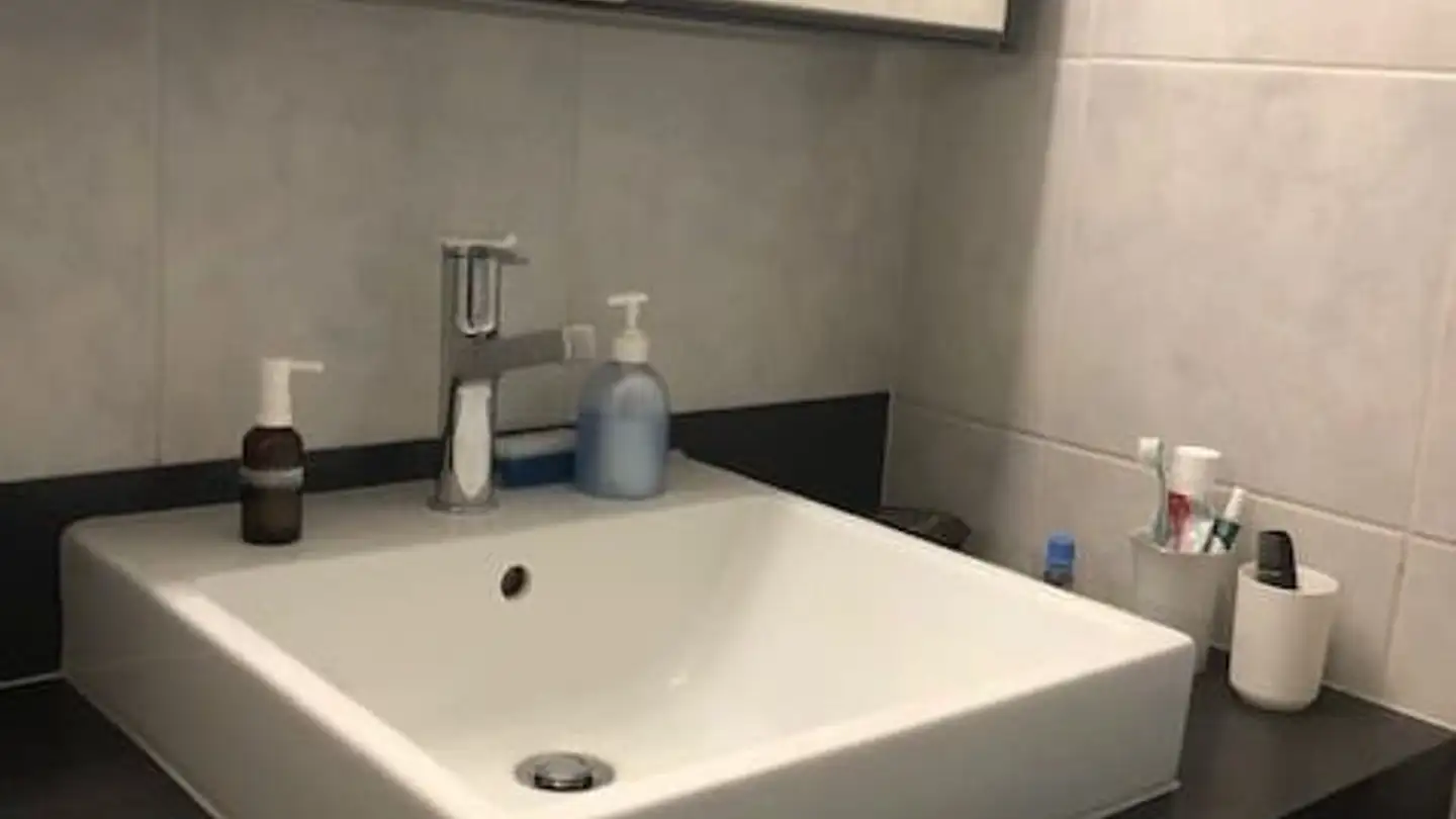 Appartamento in affitto - Schönbühlstrand 14, 6005 Luzern - Foto 4