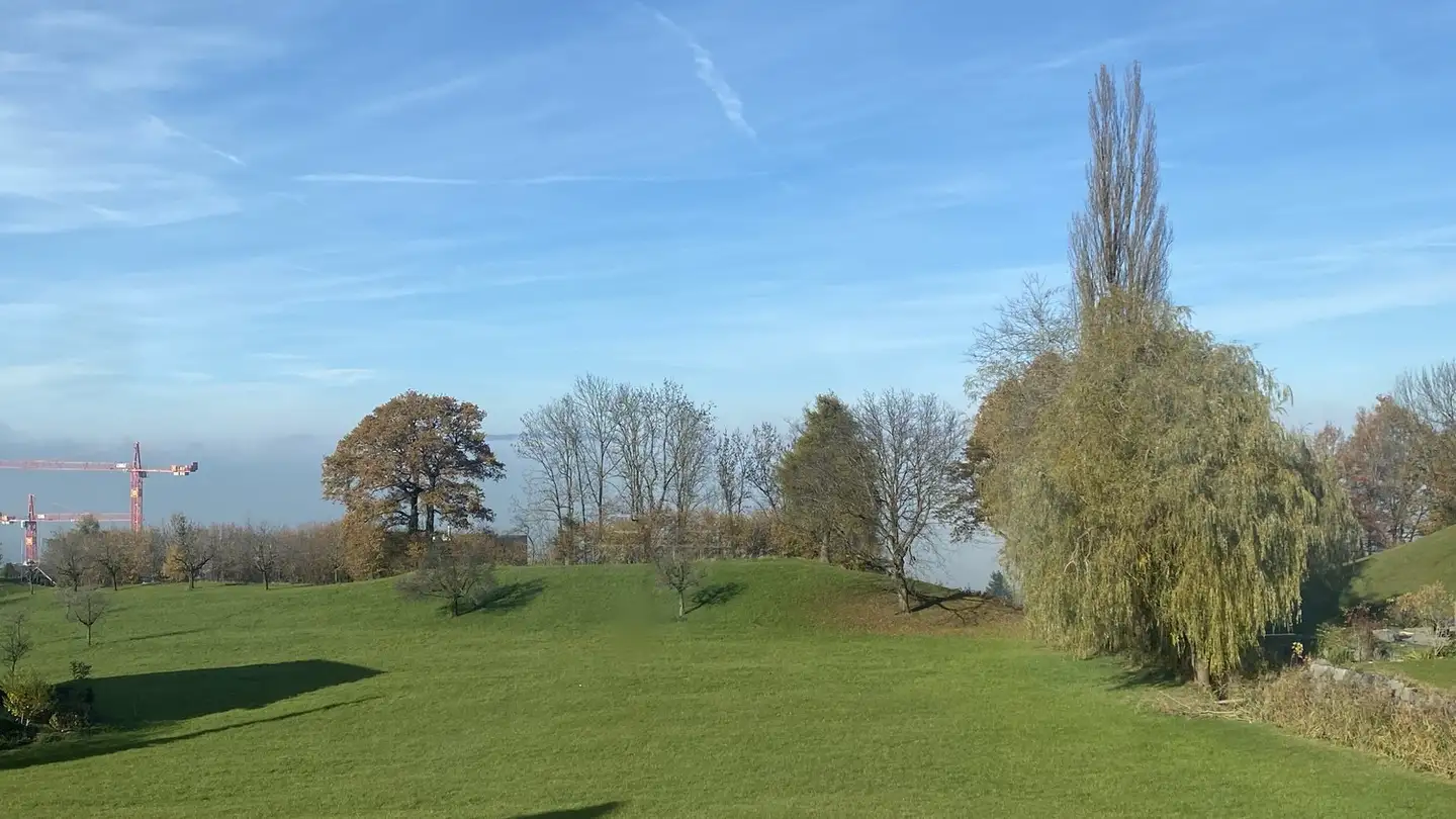 Stanza singola in affitto - 8834 Schindellegi - Photo 3