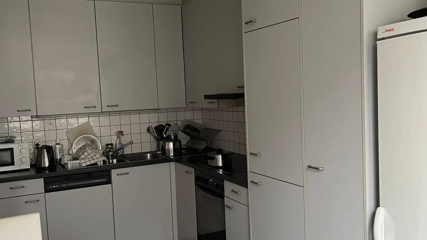 Appartement à louer - Rue de Lyon, 1203 Genève - Photo 3