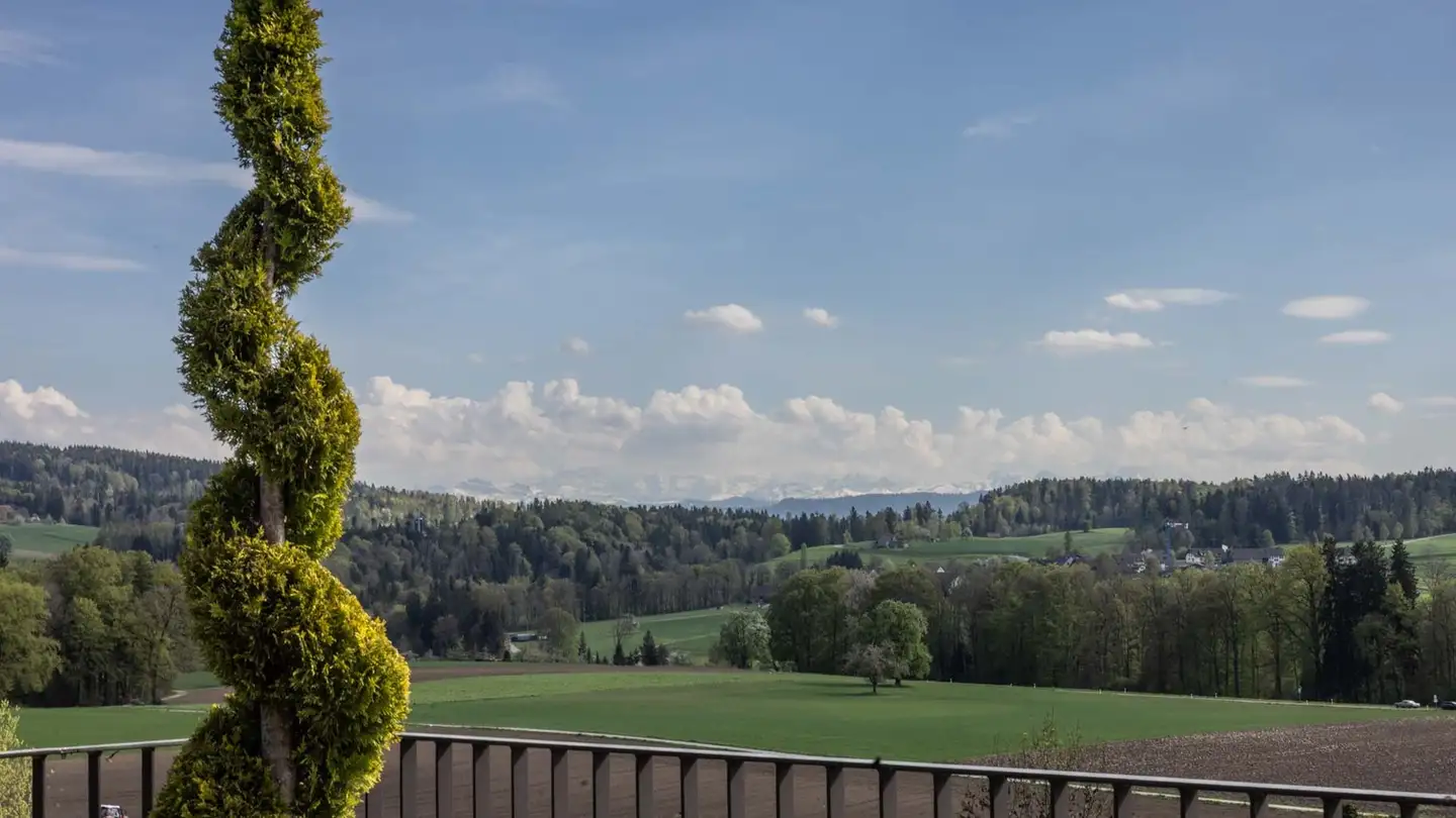 Apartment for rent - Dorfstrasse 93, 8126 Zumikon