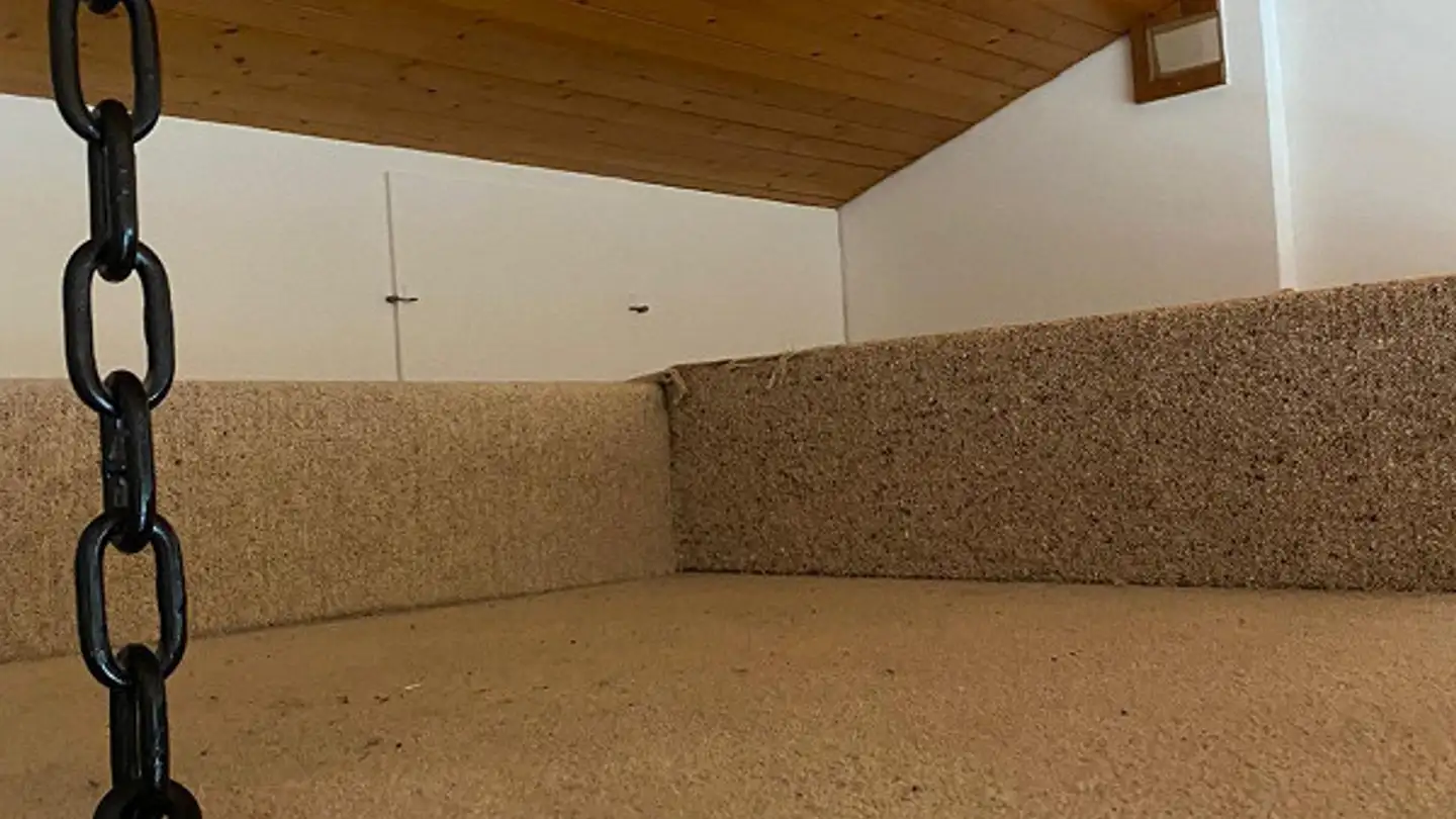 Appartamento in affitto - Hofackerstrasse 16, 8311 Brütten - Foto 4