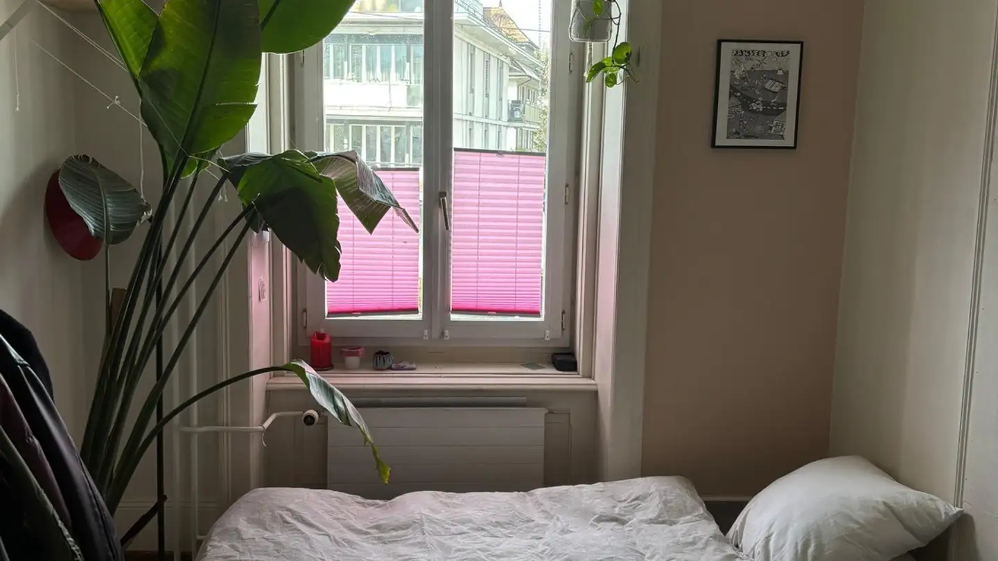 Chambre à louer - Eichwaldstrasse 10, 6005 Luzern - Photo 3