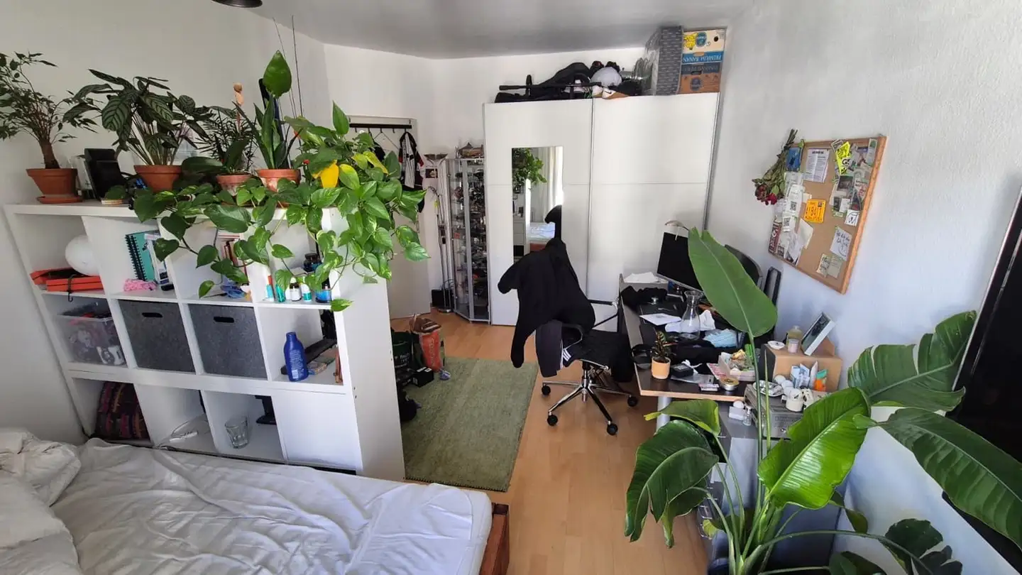 Single room for rent - Josefstrasse 42, 8005 Zürich