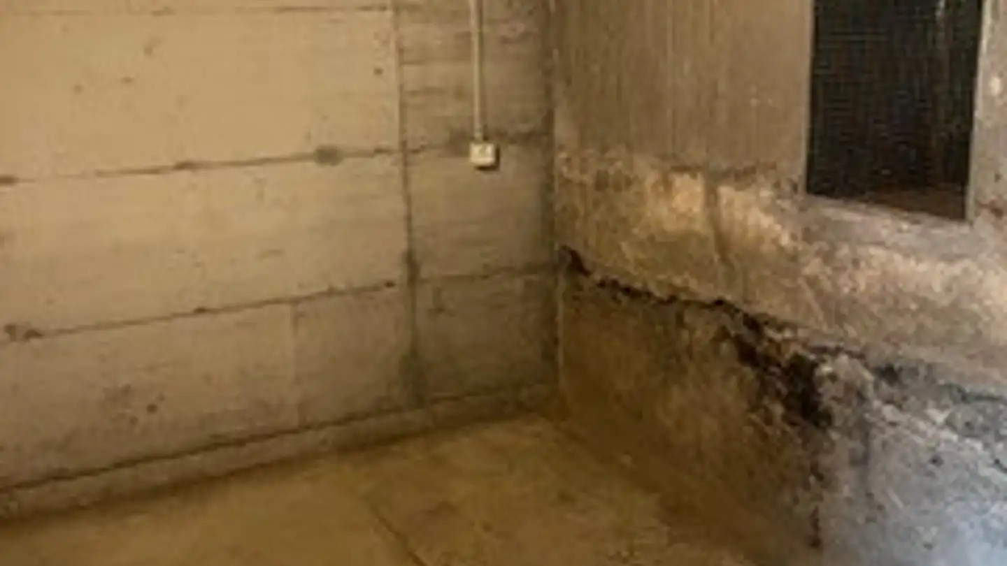 Spazio di archiviazione in affitto - Flüelerstrasse 143, 6460 Altdorf UR - Photo 3