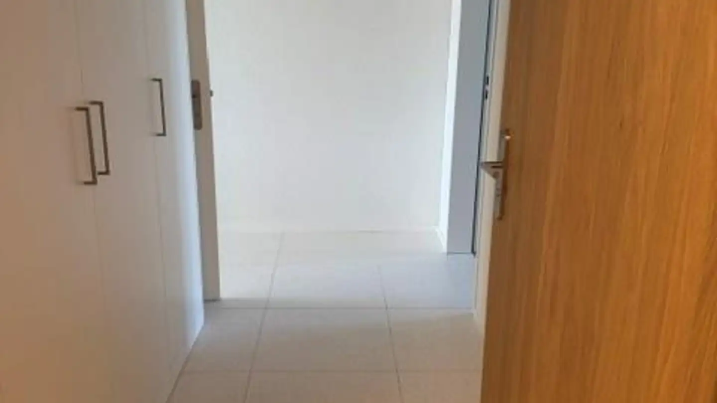 Apartment for rent - Birchlenstrasse 21b, 8600 Dübendorf - Photo 2