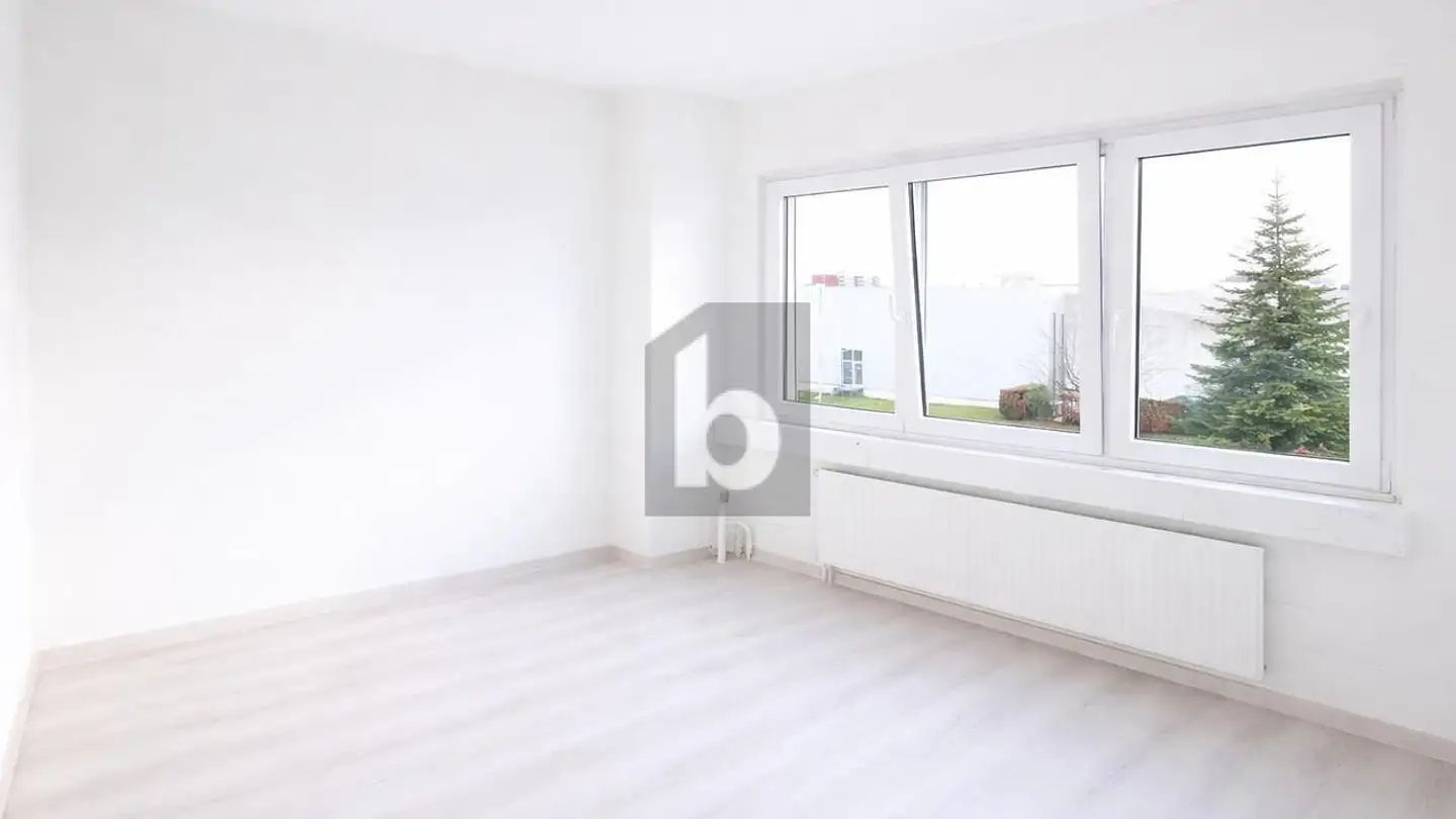 Mixed-use building for sale - 1196 Gland - Photo 2