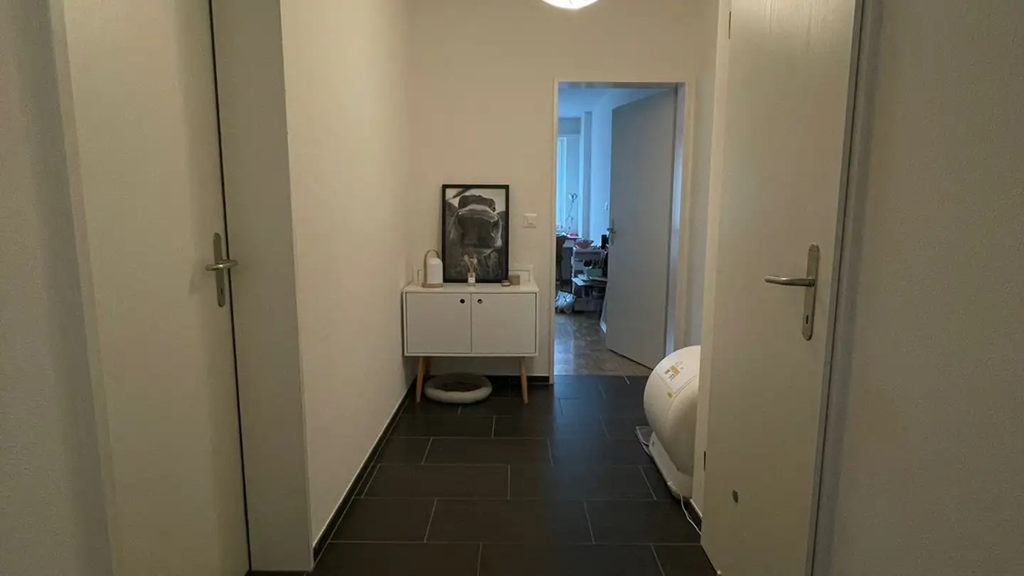 Appartamento in affitto - Sandbühlstrasse 11b, 8620 Wetzikon ZH - Foto 2