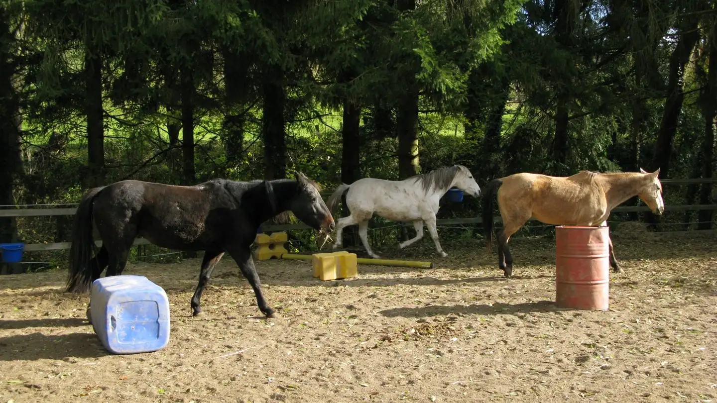 Single house for sale - 1521 Curtilles