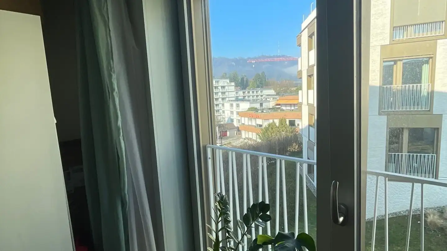 Stanza singola in affitto - Bellariastrasse 85, 8038 Zürich - Foto 4