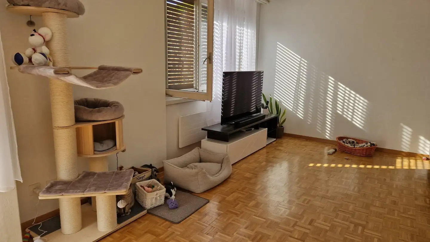 Wohnung mieten - Neubüelstrasse 5, 8340 Hinwil - Foto 4