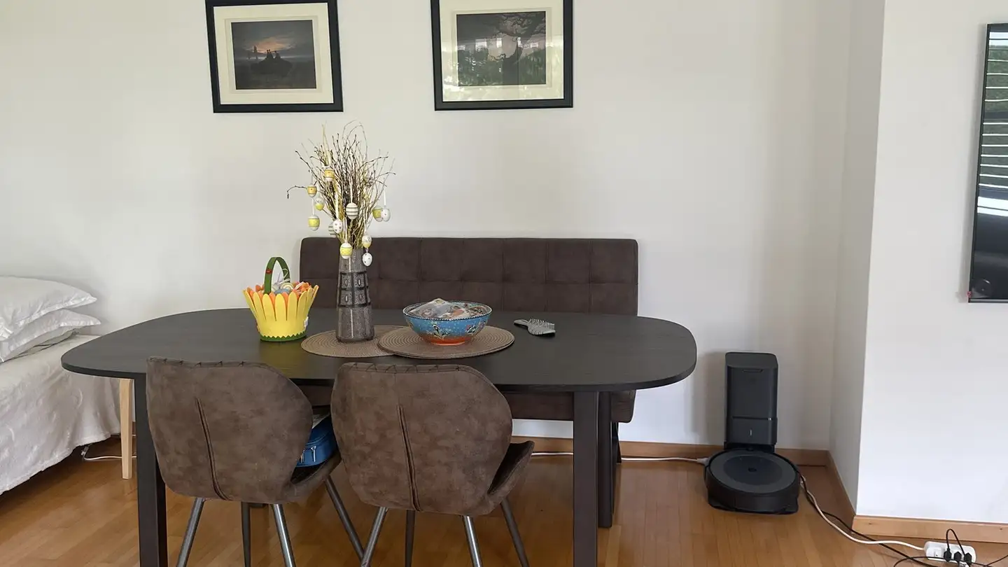 Appartamento in affitto - Oberholzstrasse, 8603 Schwerzenbach - Foto 4