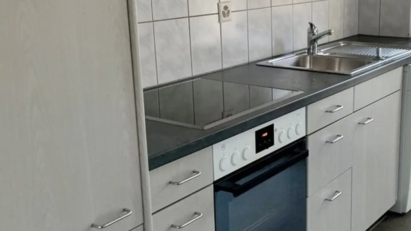 Appartement à louer - Roswiesenstrasse 175, 8051 Zürich - Photo 3
