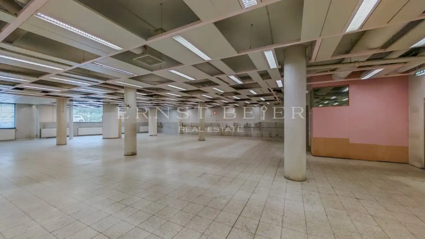 Commercial for sale - Les Diablerets, 1865 Les Diablerets - Photo 3