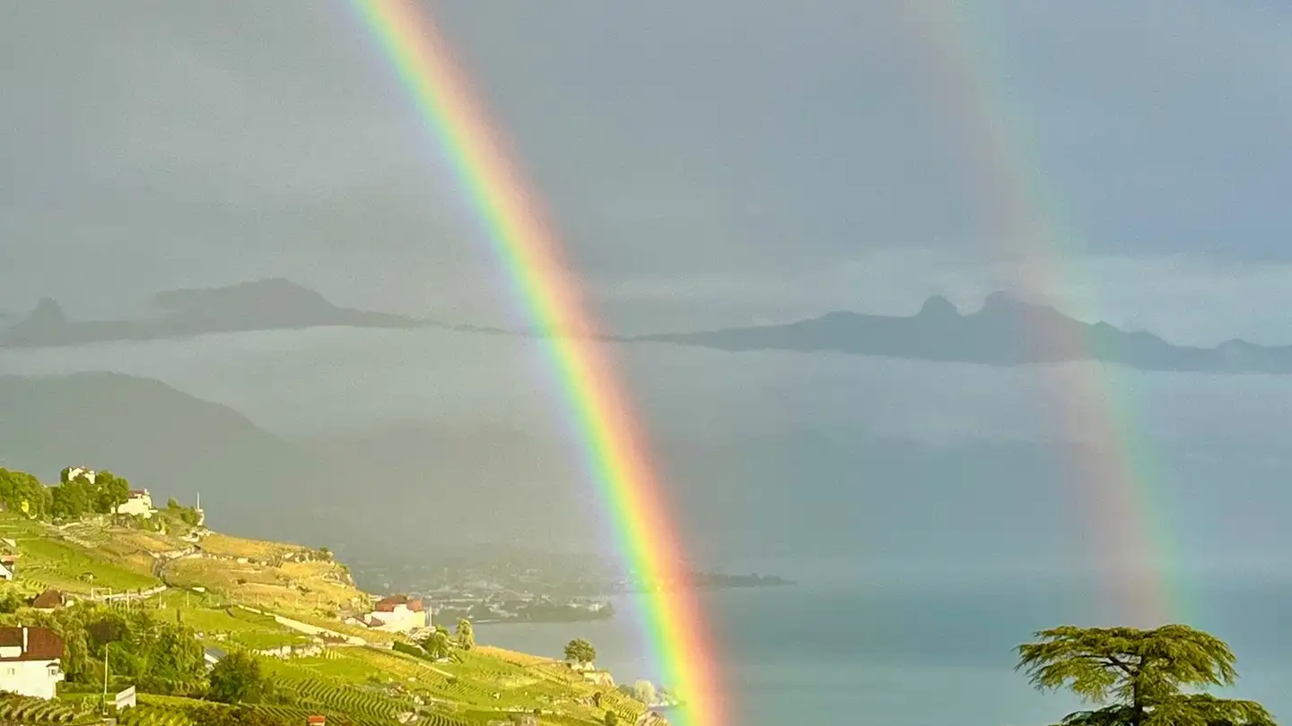Zimmer mieten - Chemin De Baulet, 1071 Chexbres