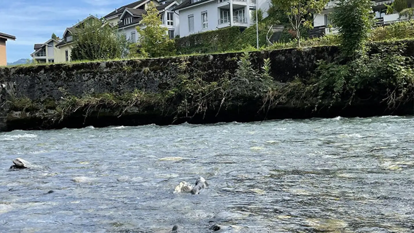 Wohnung mieten - Wilgass 6a, 6370 Oberdorf NW