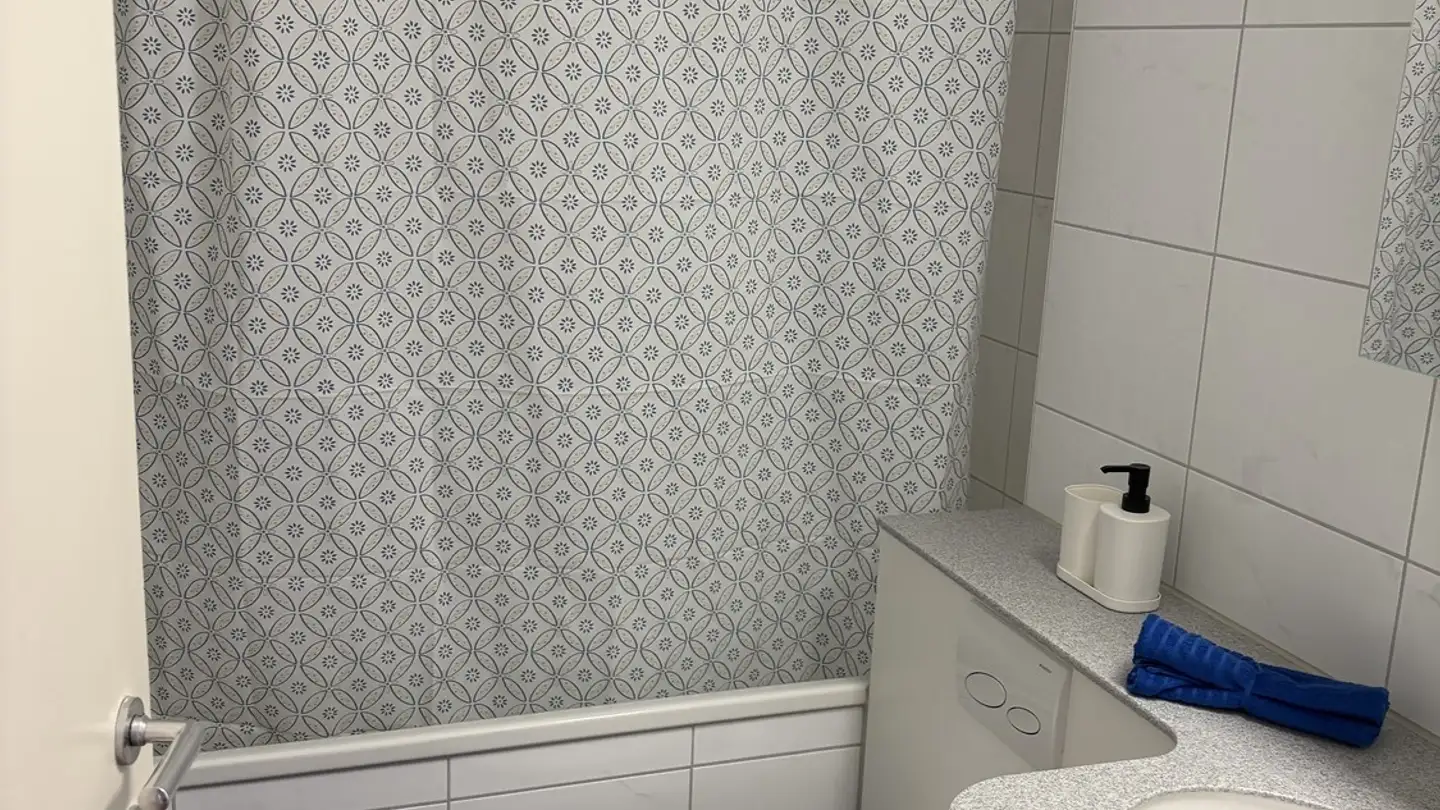 Appartement à louer - Brüggliäcker 25, 8050 Zürich - Photo 2