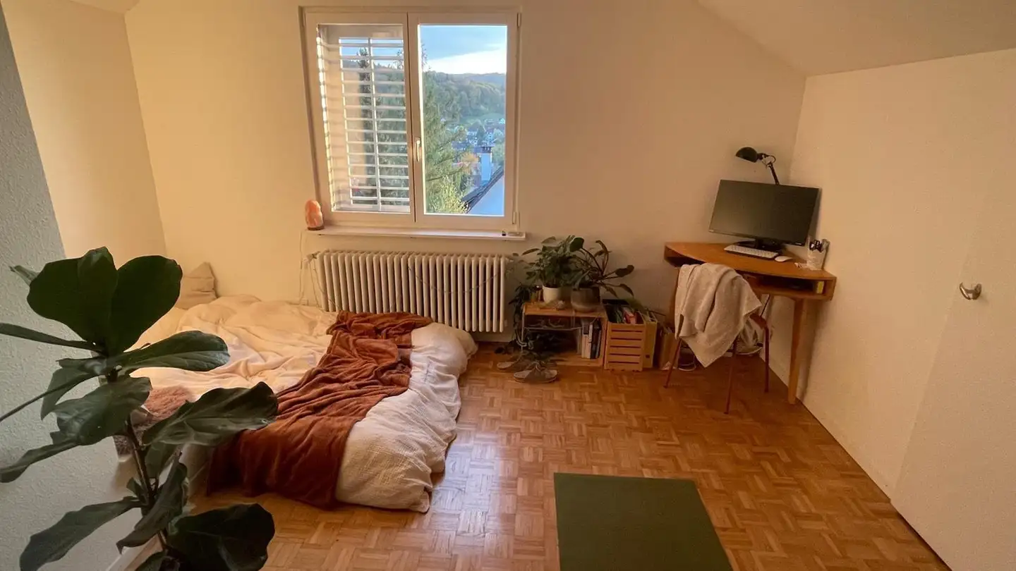Single room for rent - Weinbergstrasse 114, 8408 Winterthur