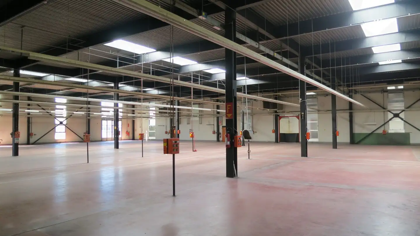 Fabbrica in affitto - 6900 Lugano