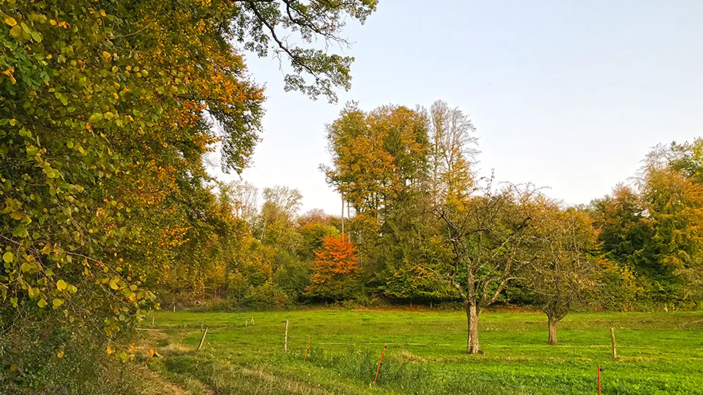 Duplex à vendre - 1033 Cheseaux-sur-Lausanne
