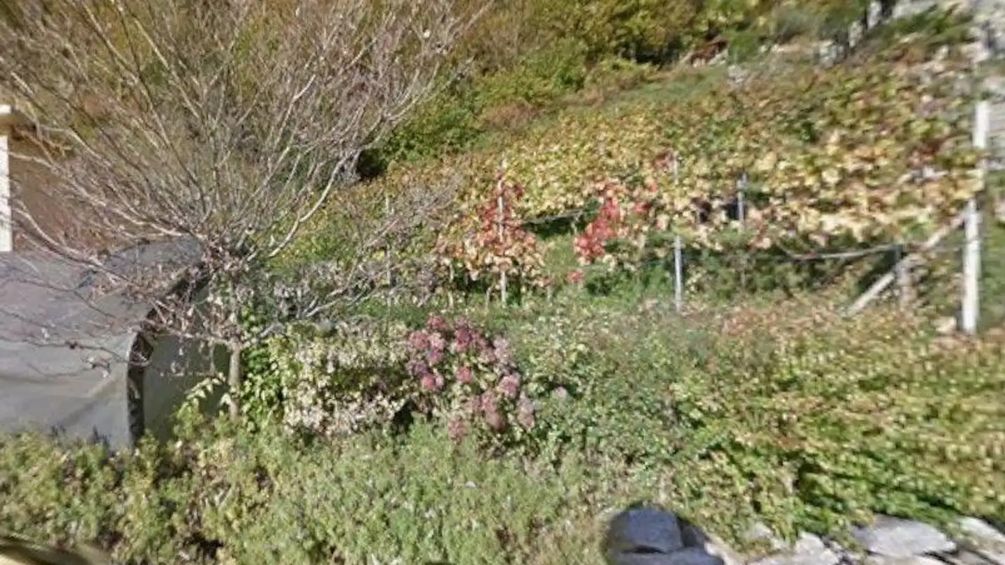 Terrain constructible à vendre - 6516 Cugnasco