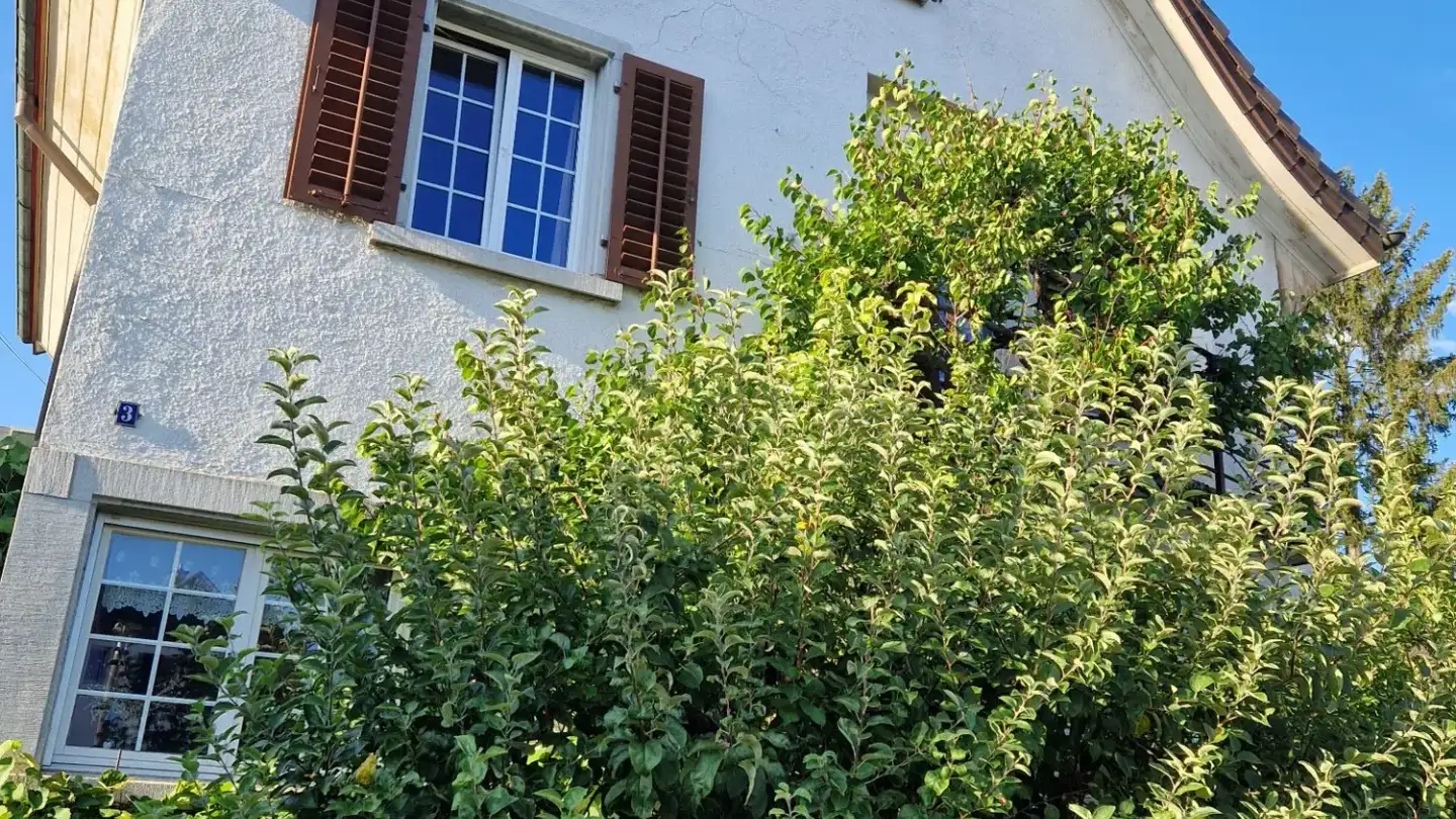 Einfamilienhaus mieten - 8952 Schlieren