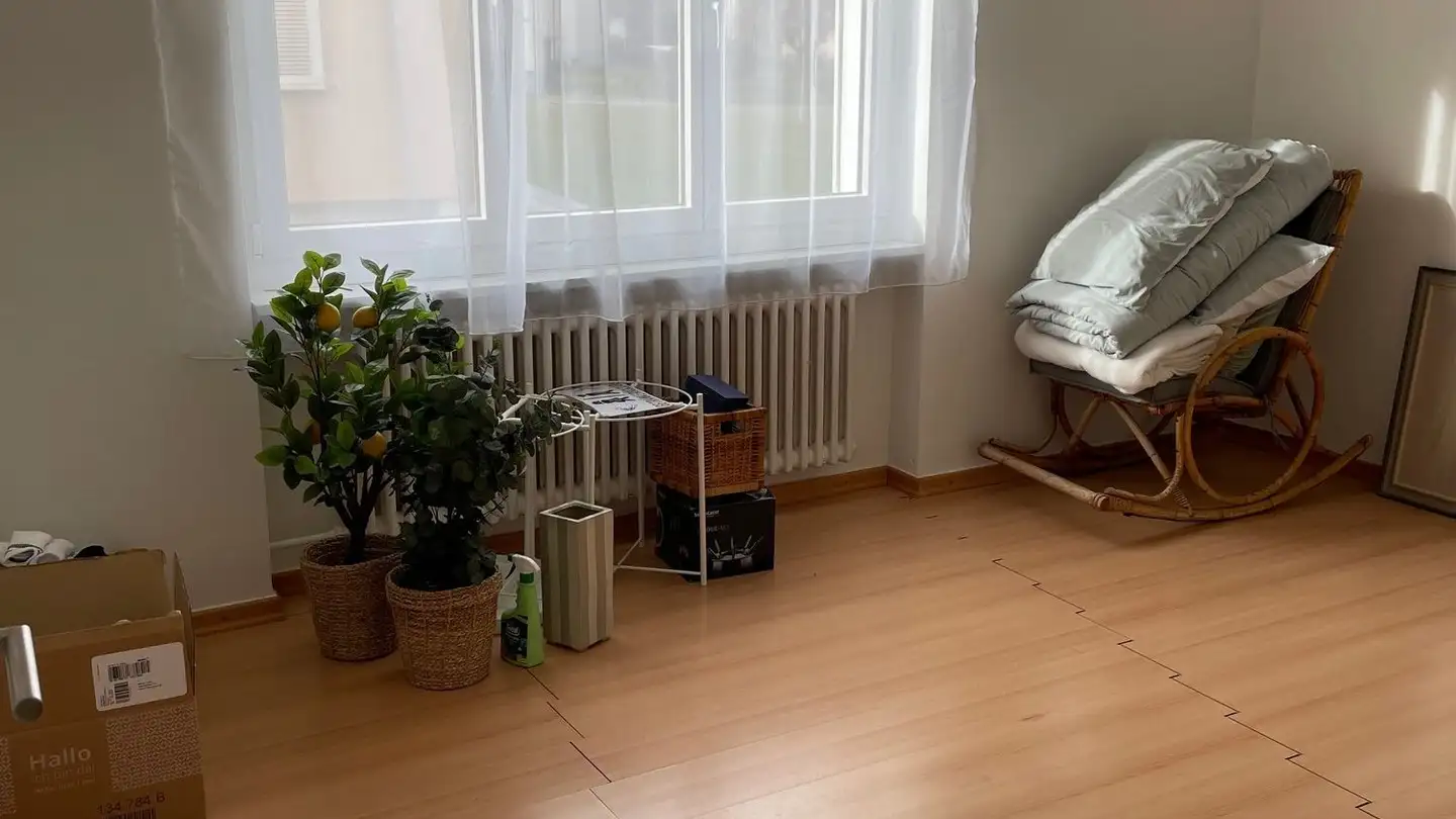 Appartamento in affitto - Wiesenstrasse 6b, 9430 St. Margrethen SG - Foto 4