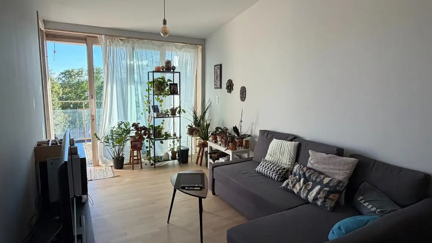 Appartement à louer - Rue De La Morâche 8, 1260 Nyon