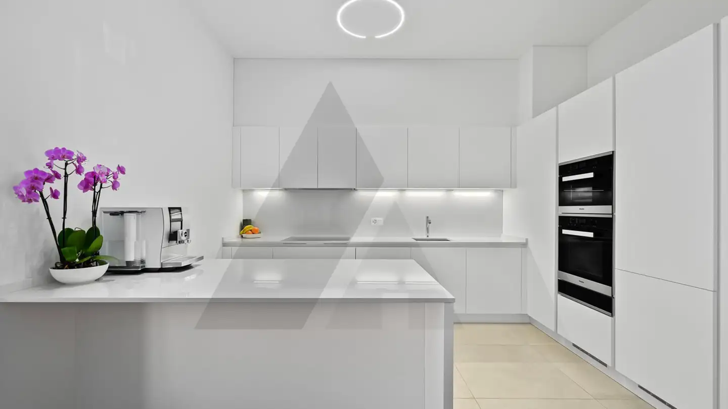 Apartment for sale - Via Guidino, 6900 Paradiso - Photo 4