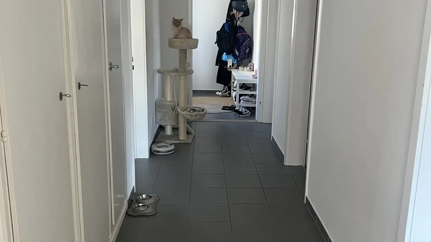Appartement à louer - Winterthurerstrasse 5, 8180 Bülach