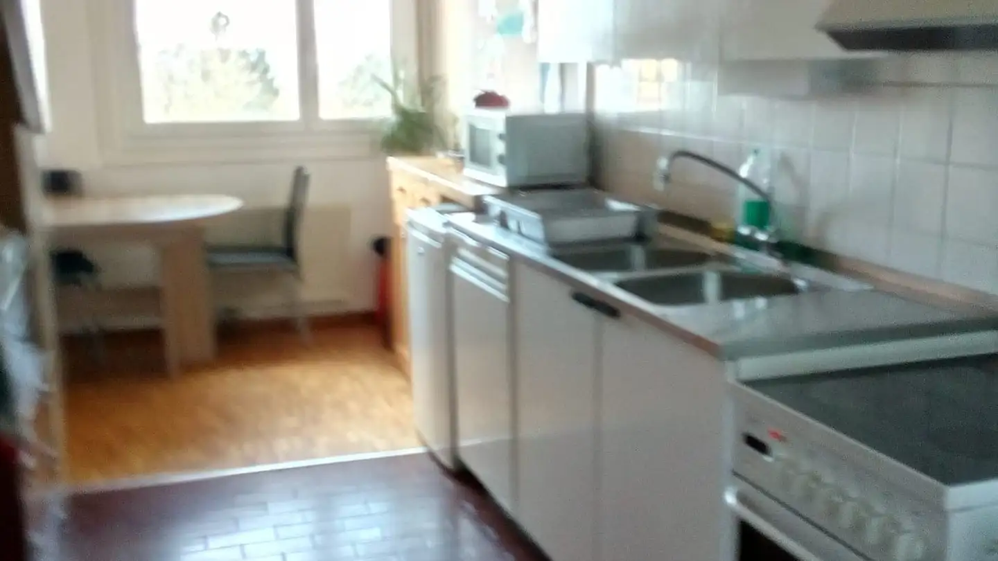 Stanza singola in affitto - Chemin Isabelle-De-Montolieu 131, 1010 Lausanne - Foto 3