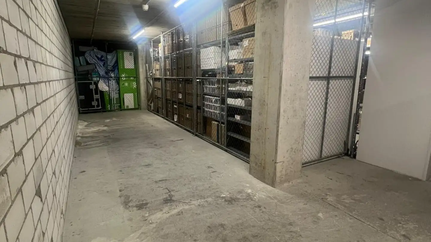 Cellar partition for rent - Thurgauerstrasse 117, 8152 Glattpark (Opfikon)