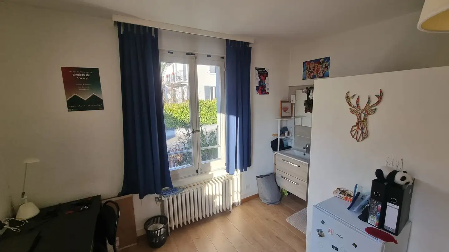 Single room for rent - Rue Centrale 11, 1022 Chavannes-près-Renens