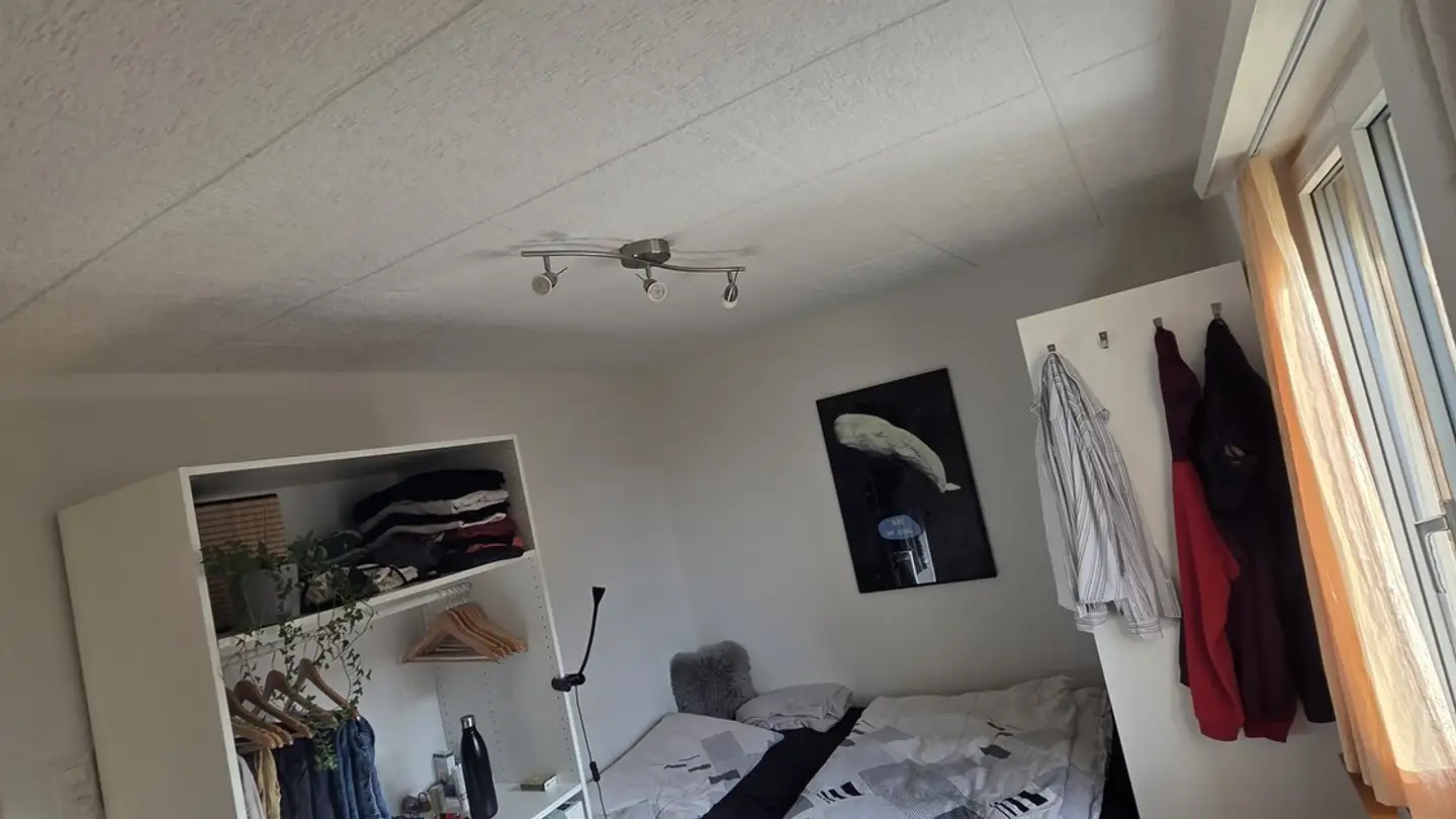 Zimmer mieten - Limmattalstrasse 322, 8049 Zürich - Foto 2