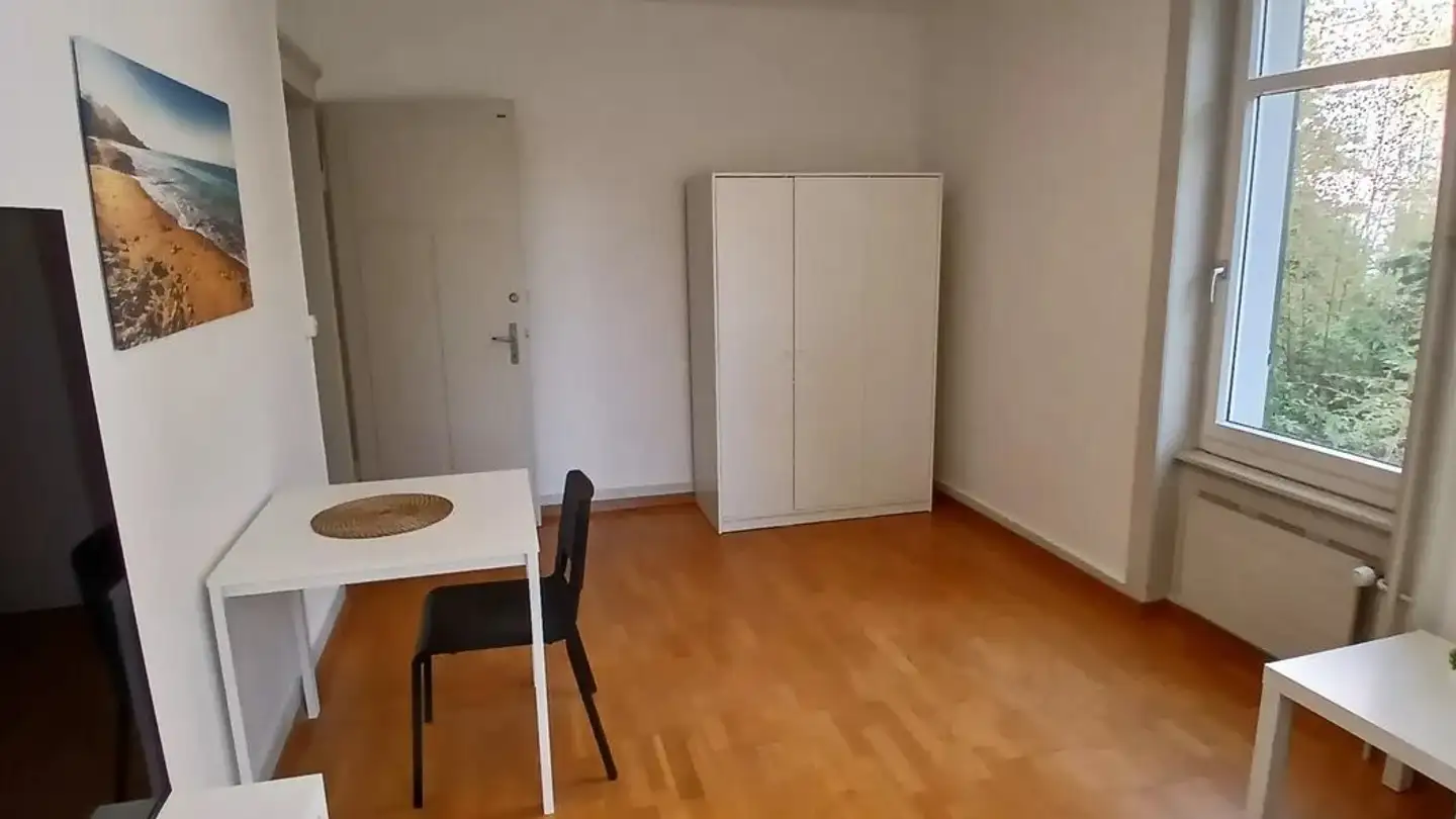 Chambre à louer - Schulhausstrasse, 8002 Zürich - Photo 2