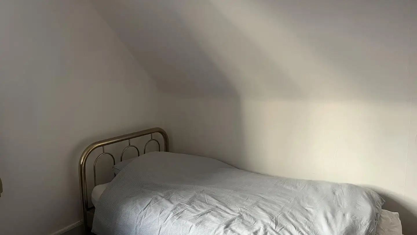 Chambre à louer - Hönggerstrasse 27, 8103 Unterengstringen - Photo 3