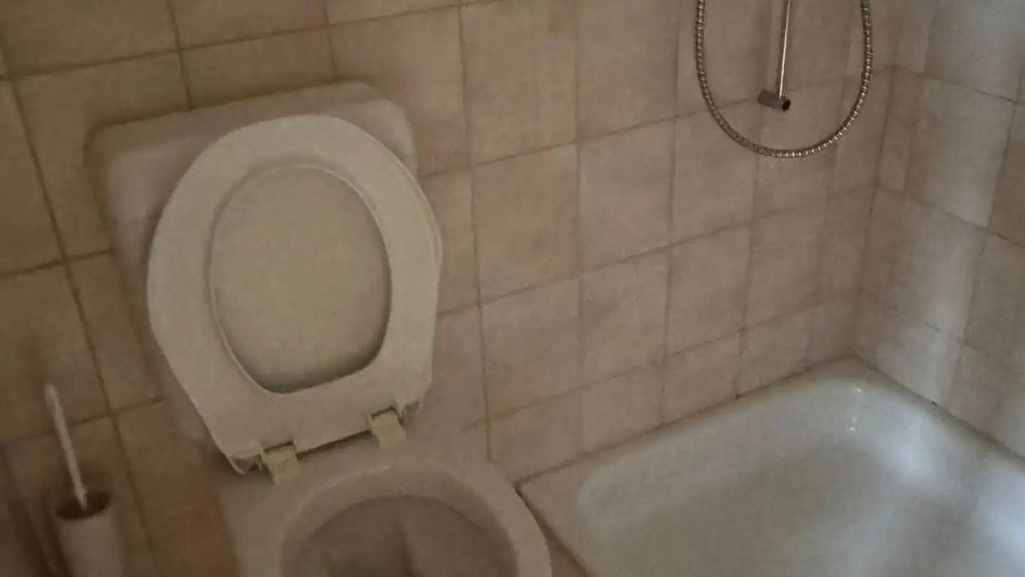 Appartamento in affitto - Heinrich Bosshard-Strasse 32, 8352 Elsau - Foto 2