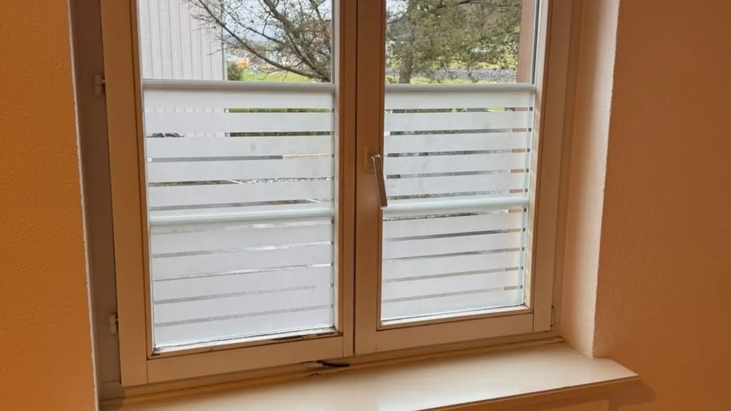 Appartamento in affitto - Heinrich Bosshard-Strasse 32, 8352 Elsau - Foto 3