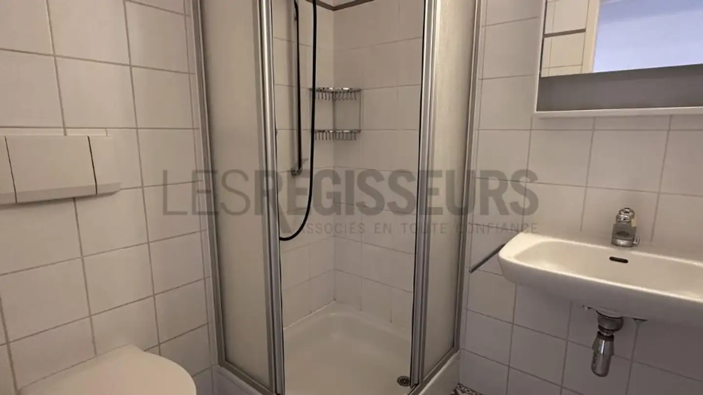 Wohnung kaufen - Rue du Vieux-Four, 1288 Aire-la-Ville - Foto 4