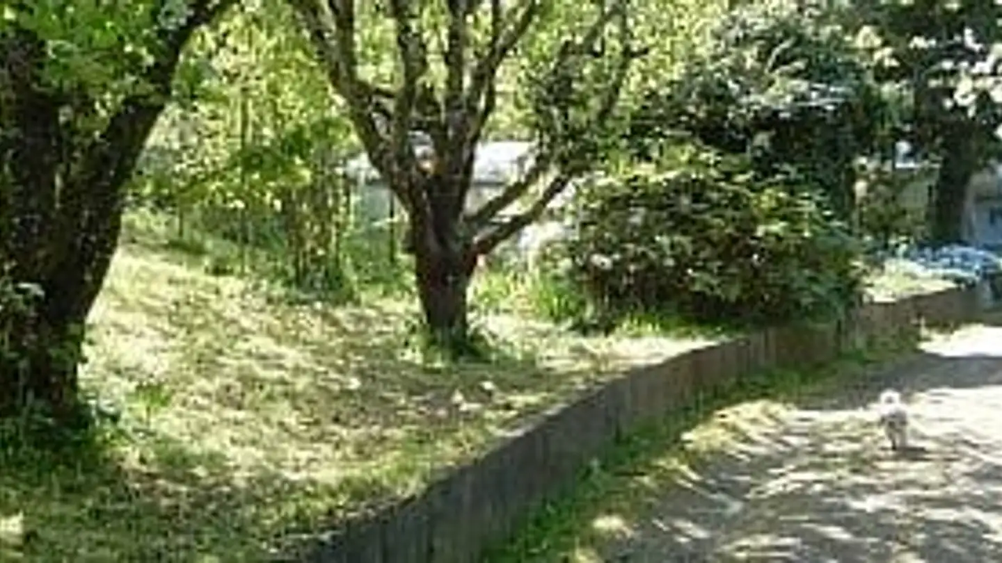 Casa singola in vendita - 3400 Burgdorf - Photo 3